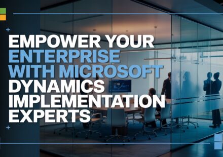Microsoft Dynamics Implementation Experts