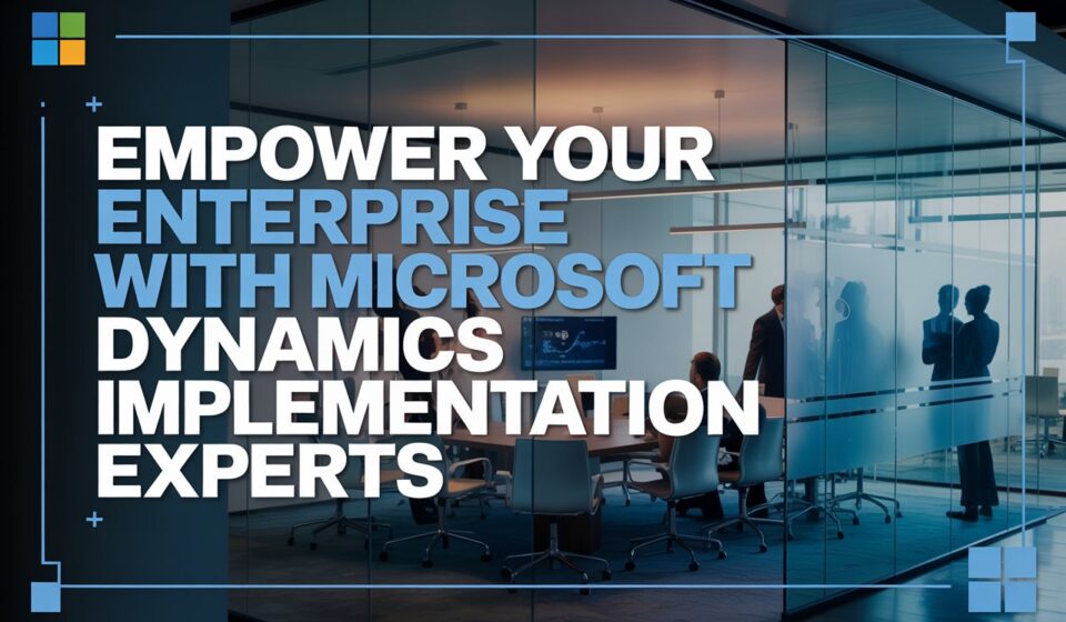 Microsoft Dynamics Implementation Experts